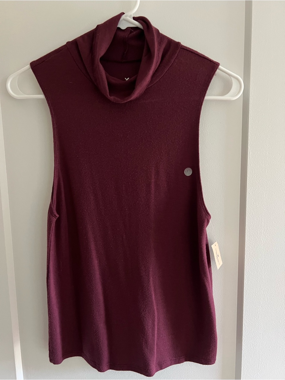 American Eagle Outfitters Sleeveless Mock Neck Tank Top in Wine